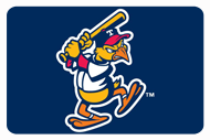 Toledo MudHens Baseball